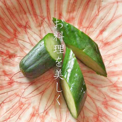 赤絵淡花小皿